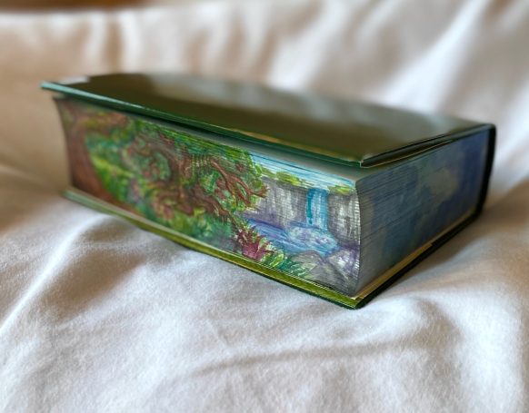 Life Application Study Bible NLT